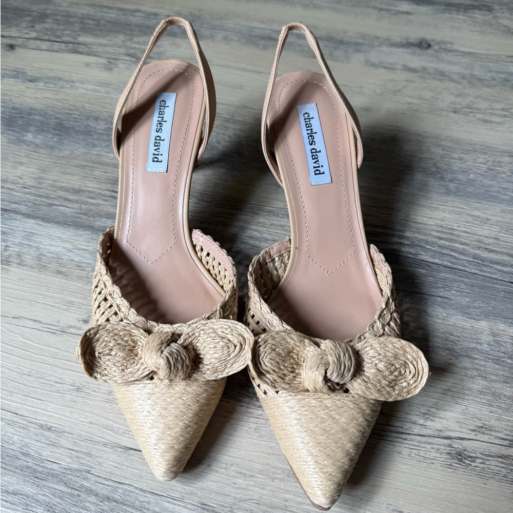 Charles David Natural/Tan Woven Espadrille Pointed Slingback Flats